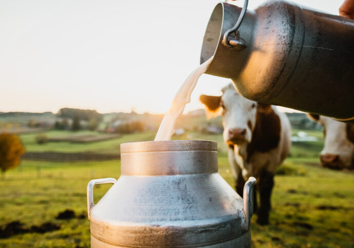 Die Herkunft von Primärprodukten wie Milch, Eier oder Fleisch wird verpflichtend- Damit wird für die Konsumenten mehr Transparenz geschaffen. Foto: istock / SimonSkafar