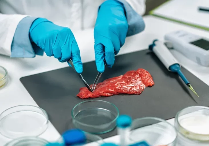 Landwirtschaftskammern aus Österreich machen mobil gegen Laborfleisch. Eine Petition mit über 70.000 Unterschriften wurden nun dem EU-Parlament behandelt. Foto: istock/microgen