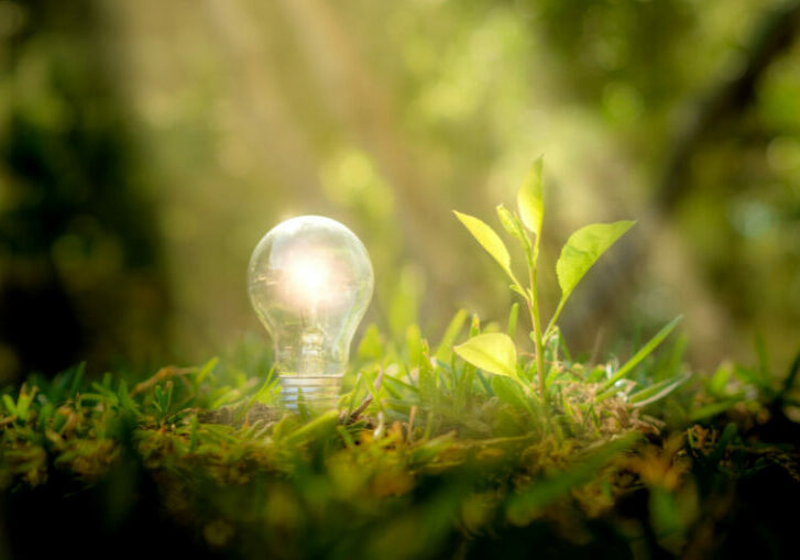 Fast 15 Milliarden Euro will die Bundesregierung bis 2026 in klimaschonende Maßnahmen und grüne Transformation in der Wirtschaft investieren. Foto: istock / Francisco Javier Ortiz Marzo