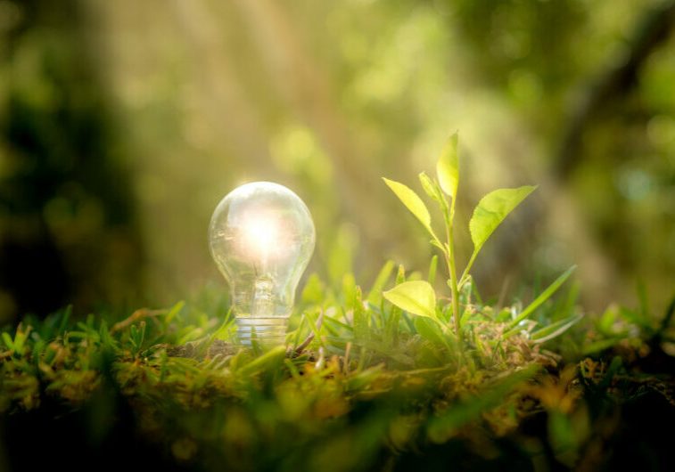 Fast 15 Milliarden Euro will die Bundesregierung bis 2026 in klimaschonende Maßnahmen und grüne Transformation in der Wirtschaft investieren. Foto: istock / Francisco Javier Ortiz Marzo