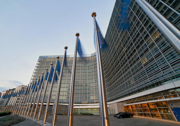 EU-Abgeordnete Barbara Thaler spricht sich für die Einigung der zu Verbrennungsmotoren aus. Foto: Berezko