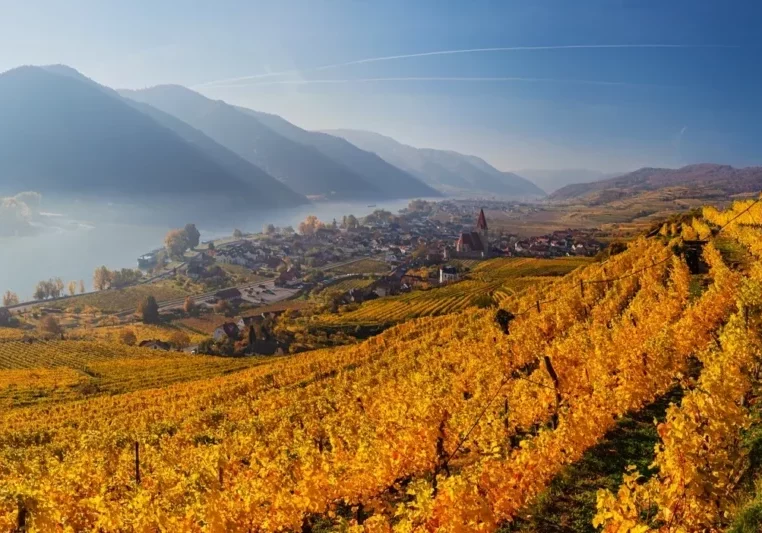 Der Tourismus ist in den besten Herbst gestartet: Besondere Angebote etwa zum Thema Wein ziehen Gäste an, die vor allem wegen der gepflegten Landschaft in Österreich einen Urlaub machen. Foto: istock/rusm