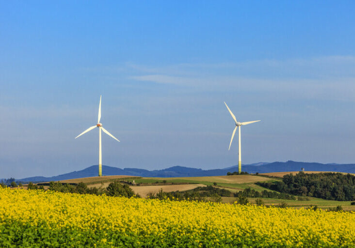 Niederösterreich sei Vorreiter in Sachen Klimaschutz. Darauf macht jetzt die JVP NÖ im Zuge ihrer Kampagne aufmerksam. Foto: Flavio Vallenari/iStock