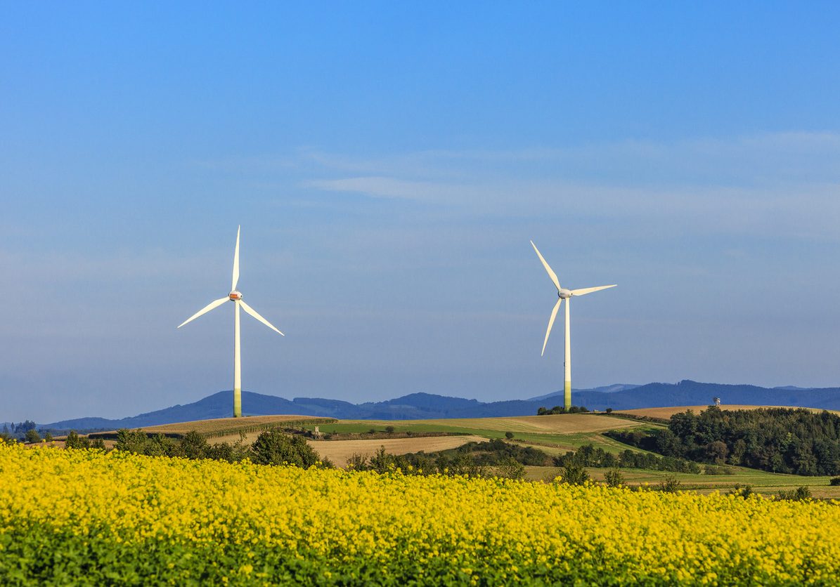 Niederösterreich sei Vorreiter in Sachen Klimaschutz. Darauf macht jetzt die JVP NÖ im Zuge ihrer Kampagne aufmerksam. Foto: Flavio Vallenari/iStock