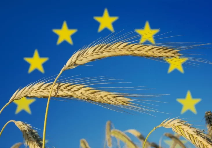 Eine Absicherung der Finanzierung der Landwirtschaft sowie faire Wettbewerbsstandard fordert die ÖVP in ihrem Programm zur EU-Wahl. Foto: istock/DesignRage