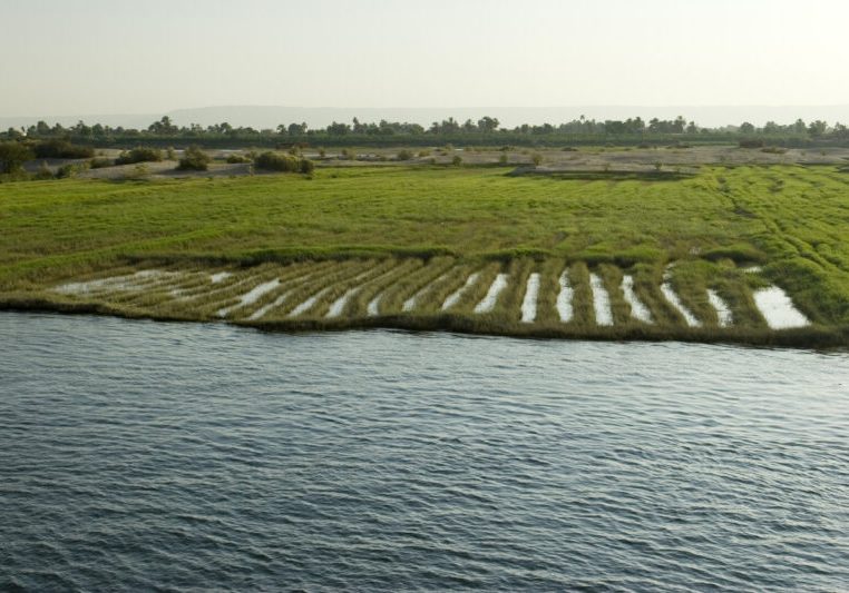 Der Nil ist für Ägypten eine wichtige Lebensader. Dennoch wird nur ein Bruchteil der ägyptischen Landesfläche landwirtschaftlich genutzt. Österreich will im Bereich der Wasserversorgung mit Ägypten enger Zusammenarbeiten. Foto: istock / LUke1138