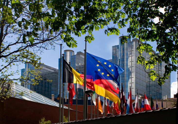 ÖVP-Delegationsleiterin, Angelika Winzig setzt sich für gemeinsame Lösungen auf europäischer Ebene ein. Foto: FrankyDeMeyer/iStock