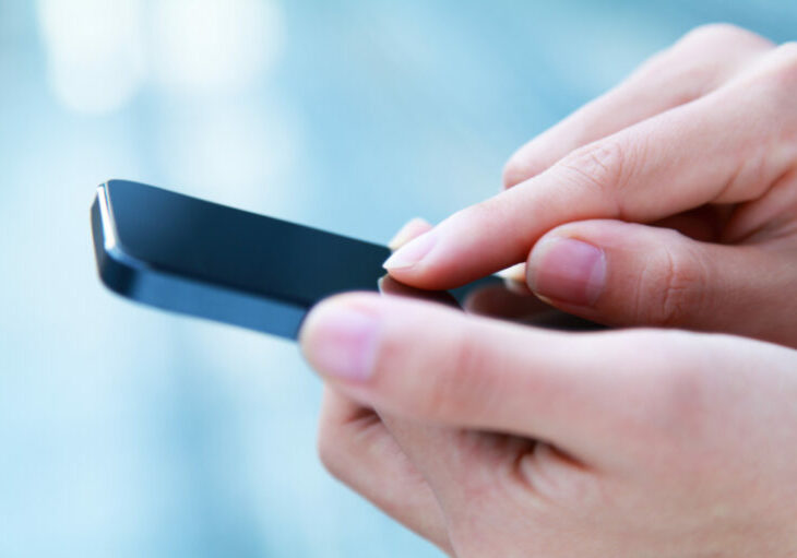 Per App können in Zukunft Regierungsbeschlüsse gefasst werden. Foto: istock/Balavan