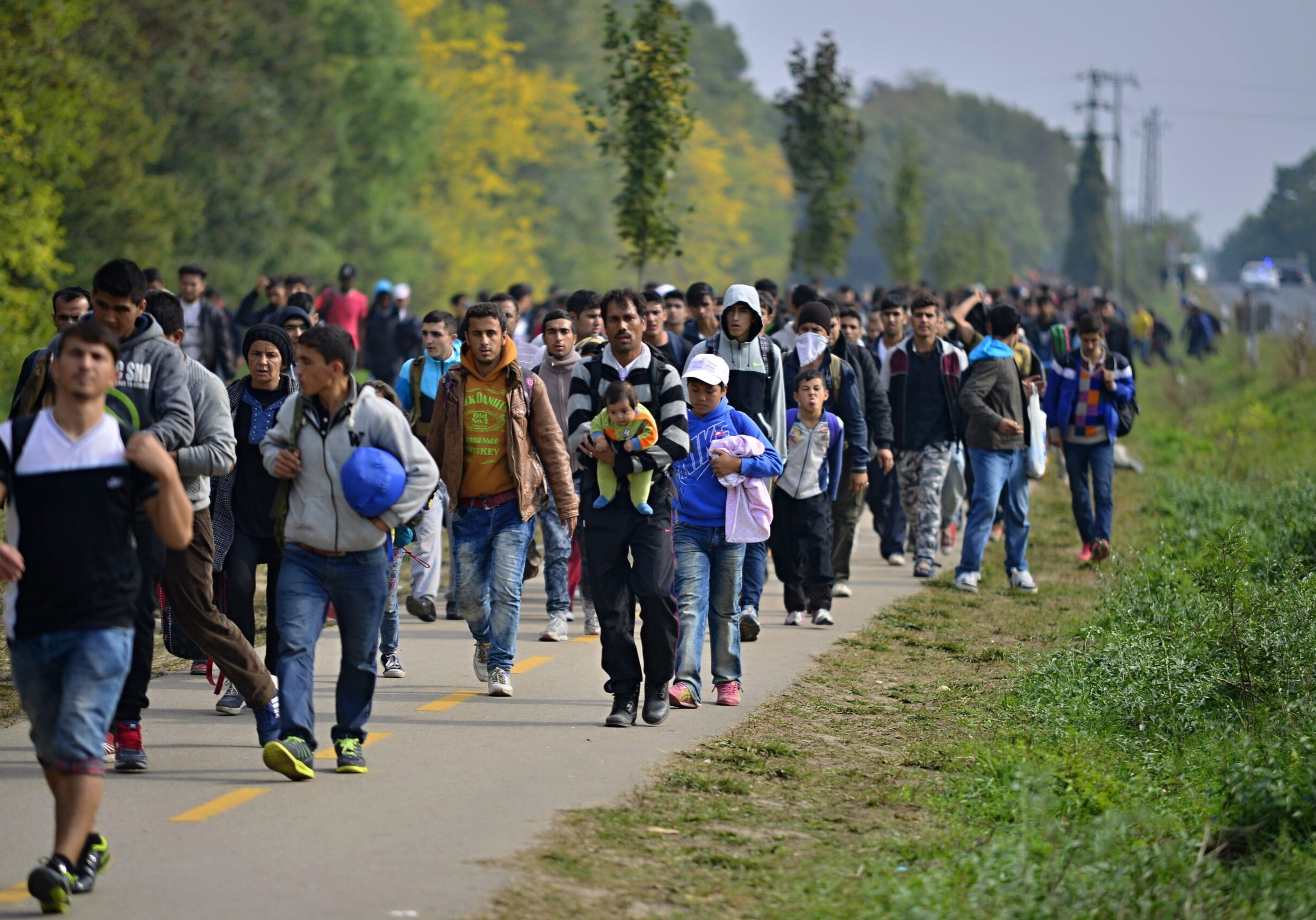 Foto: iStock/RadekProcyk