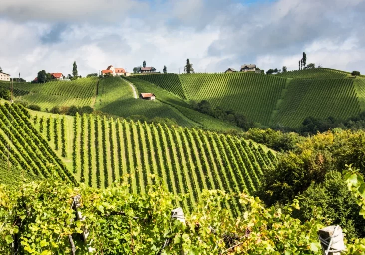 In der Steiermark wurde am Sonntag gewählt. Die ÖVP bleibt weiterhin die bestimmende Kraft in den Gemeinden. Foto: istock/Sepp Friedlhuber