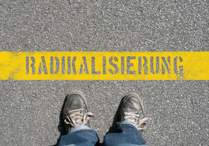 Von "passiv" bis "gewaltsam" reichen die Extremismusformen von Zuwanderern in Österreich. Das ergibt eine neue Studie, die diese Woche veröffentlicht wurde. Foto: istock/Stadtratte