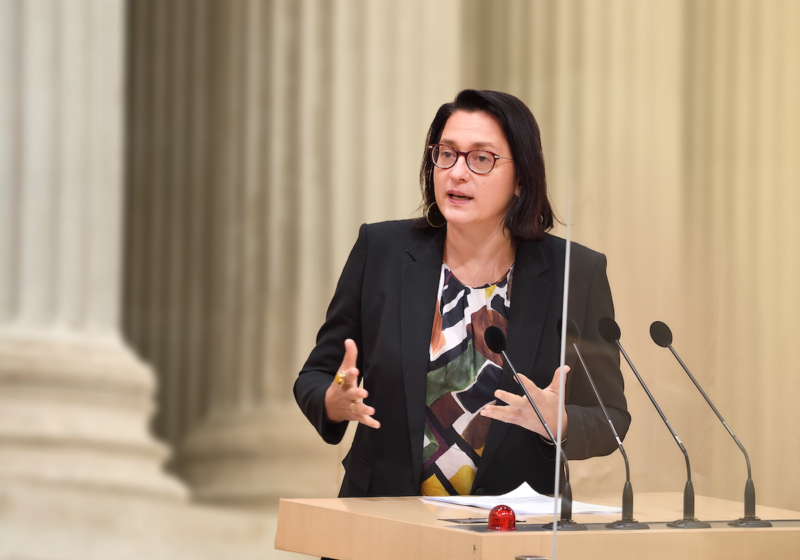VP-Menschenrechtssprecherin Gudrun Kugler erkennt in den Anzeigen der Opposition "politische Nebelgranaten". - Foto: Parlamentsdirektion/ Johannes Zinner; iStock.com/ breeze393