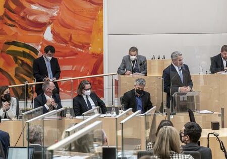 Bundeskanzler Nehammer im Bundesrat. Foto: Parlamentsdirektion / Michael Buchner