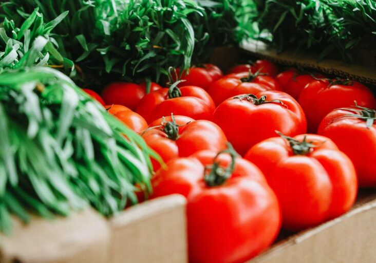 Fairplay heißt faire Preise für landwirtschaftliche Produkte. Foto: Pexels/Rauf Allahverdijev