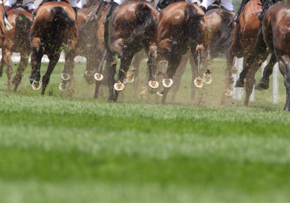 Pferderennen - Foto: iStock.com/winhorse