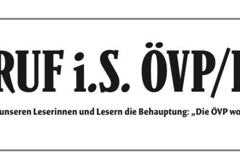 Screenshot: Falter